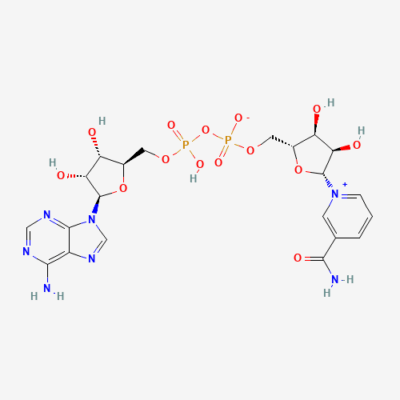 NAD+ structure